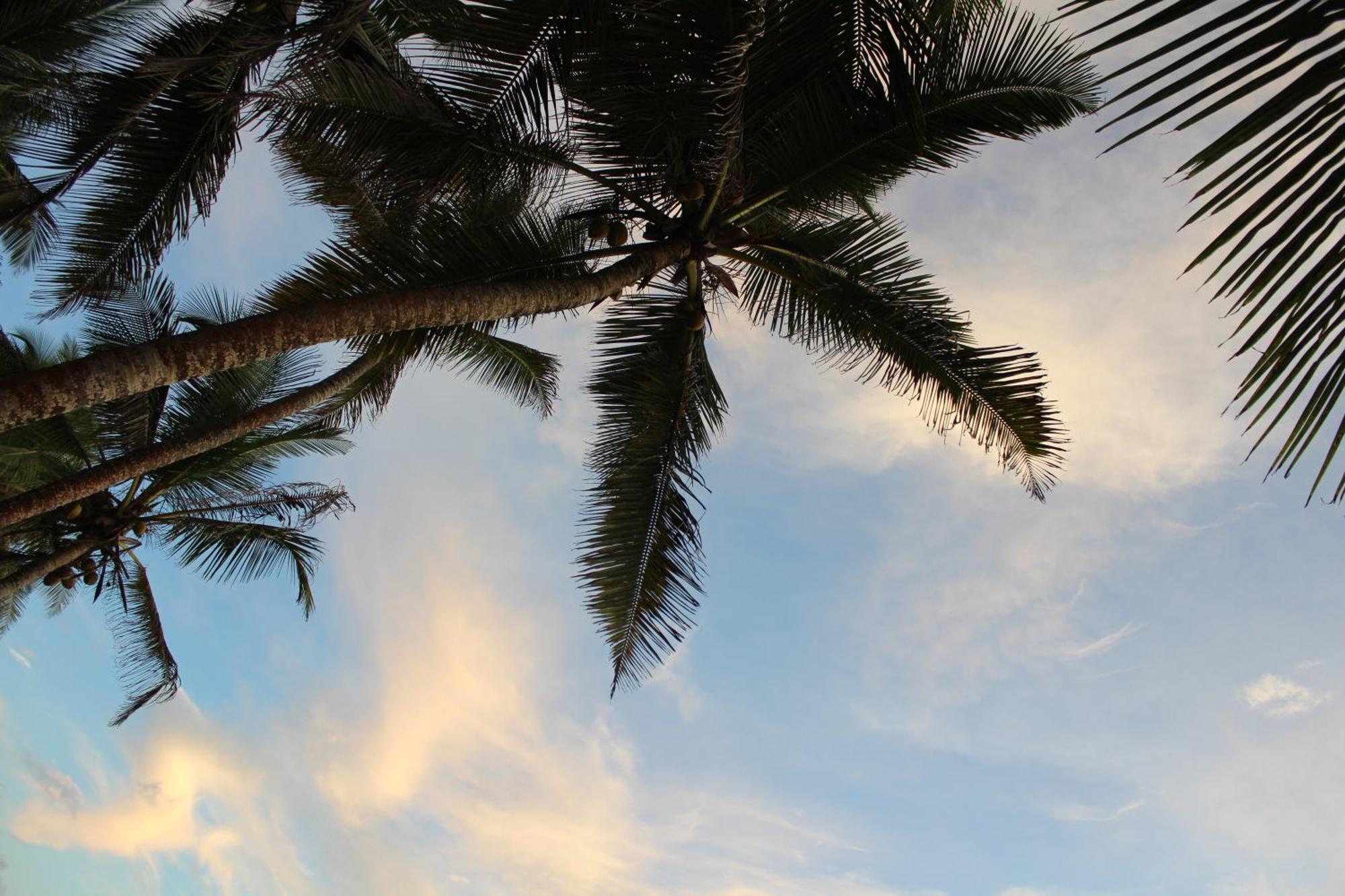 Prana Beach Hotel Ex Guli Hikkaduwa Bagian luar foto